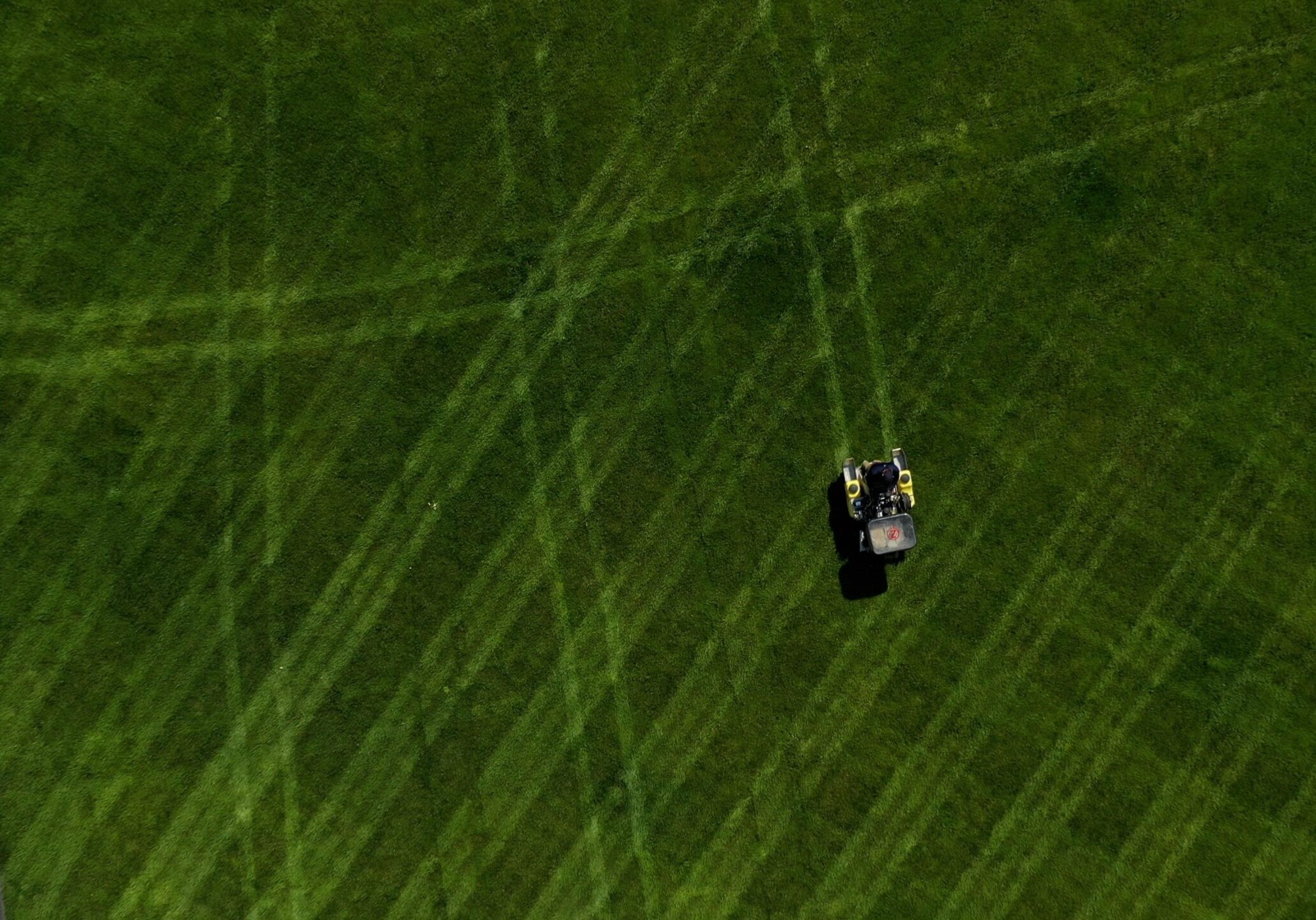 turf